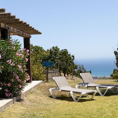 La Casa Del Burro Bed & Breakfast Nerja Exterior photo