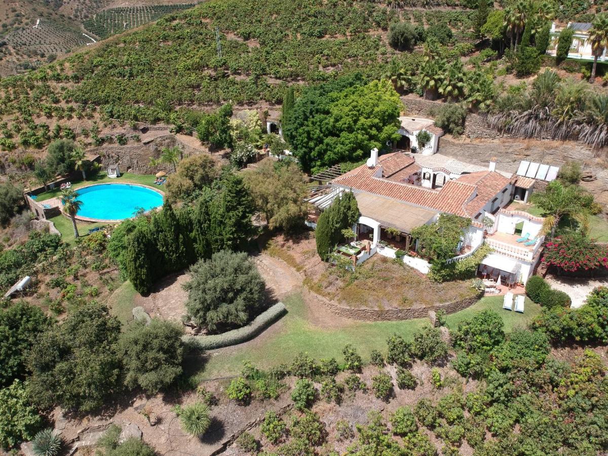 La Casa Del Burro Bed & Breakfast Nerja Exterior photo
