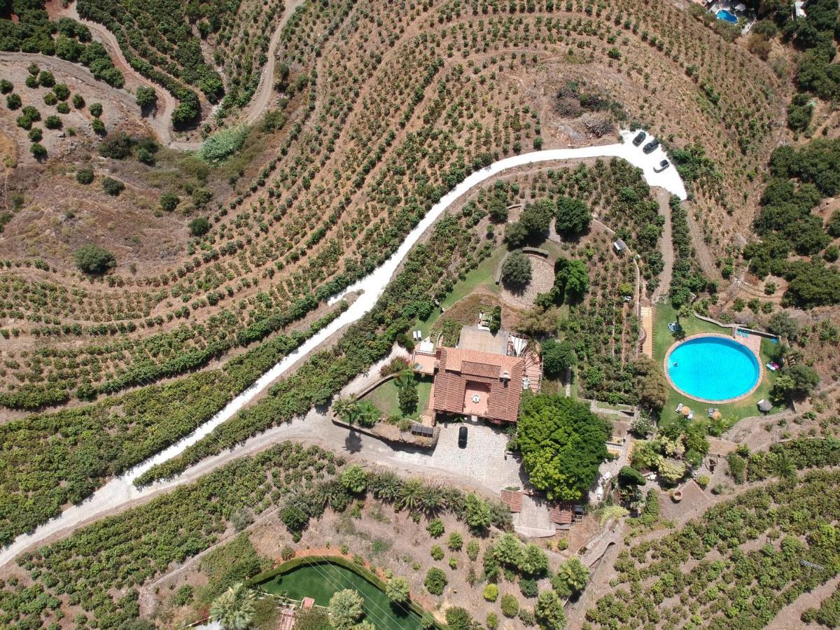 La Casa Del Burro Bed & Breakfast Nerja Exterior photo