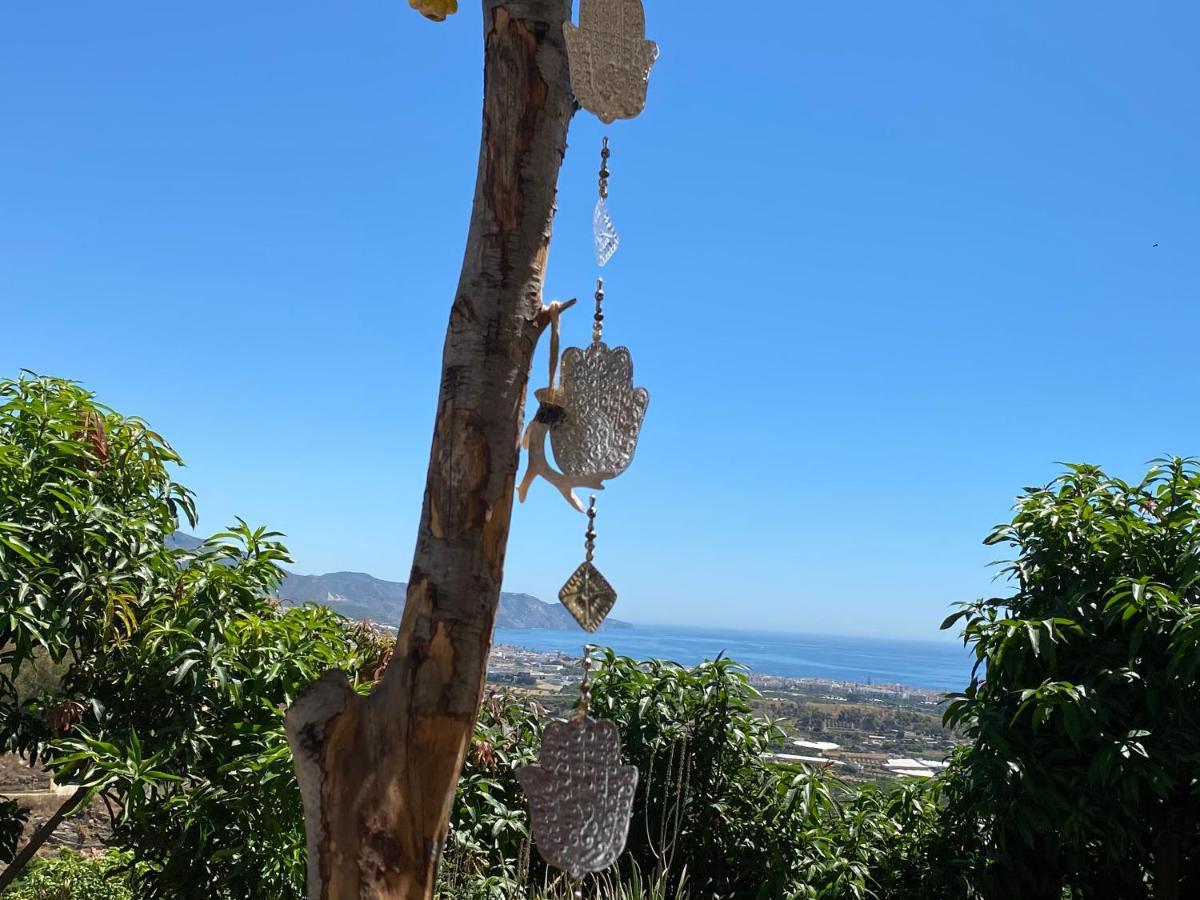 La Casa Del Burro Bed & Breakfast Nerja Exterior photo