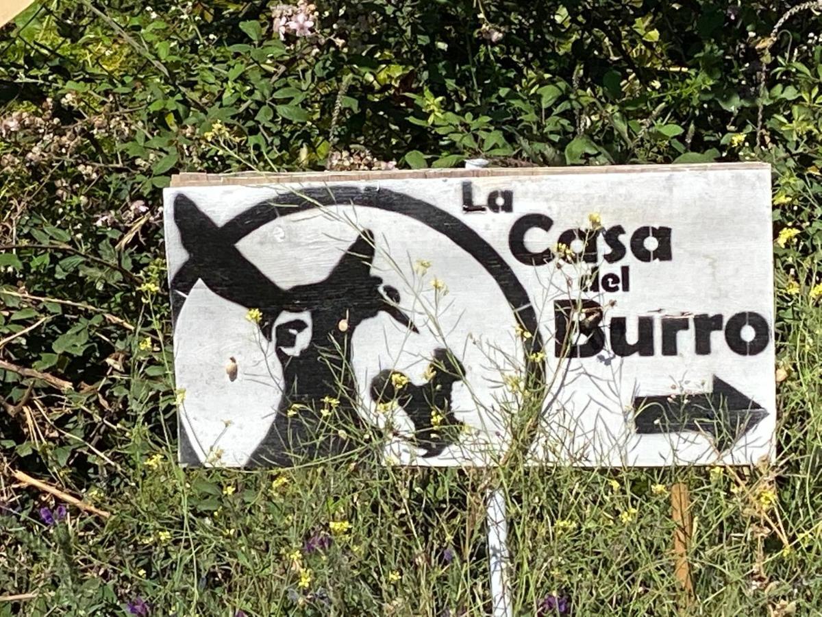 La Casa Del Burro Bed & Breakfast Nerja Exterior photo