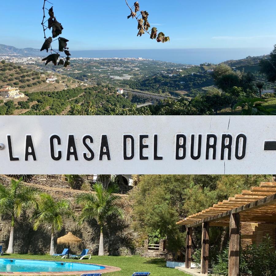 La Casa Del Burro Bed & Breakfast Nerja Exterior photo
