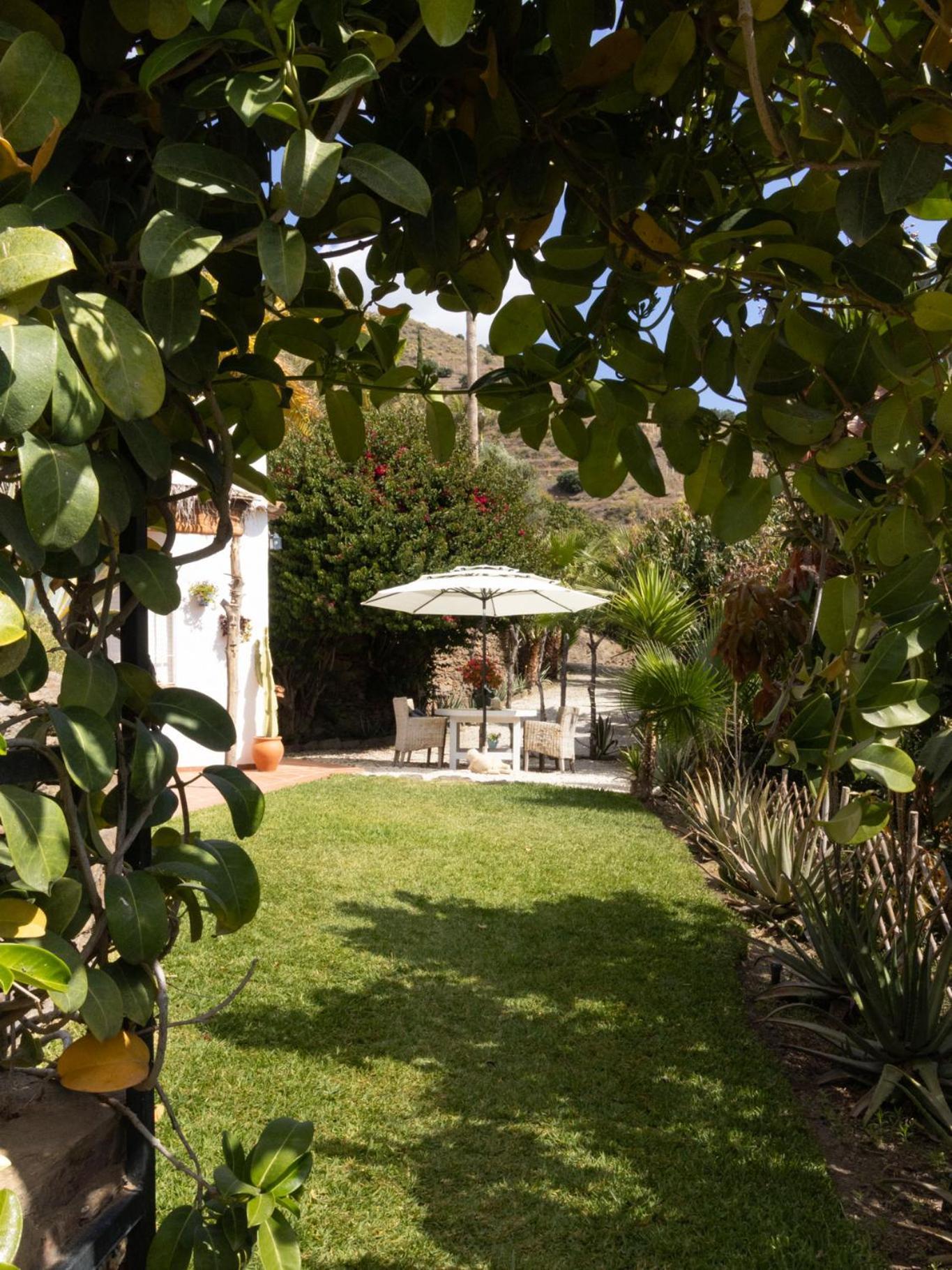 La Casa Del Burro Bed & Breakfast Nerja Exterior photo