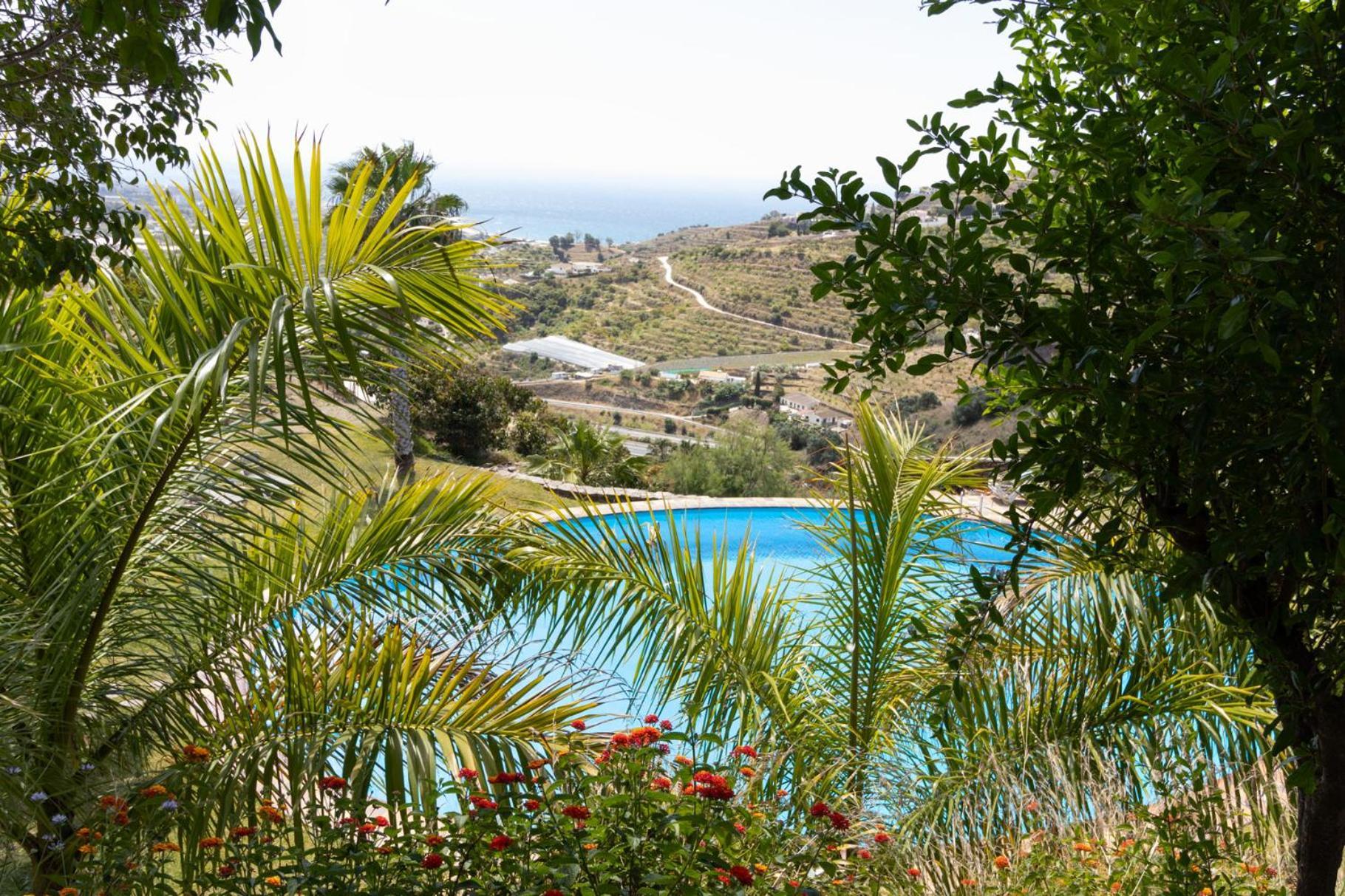 La Casa Del Burro Bed & Breakfast Nerja Exterior photo