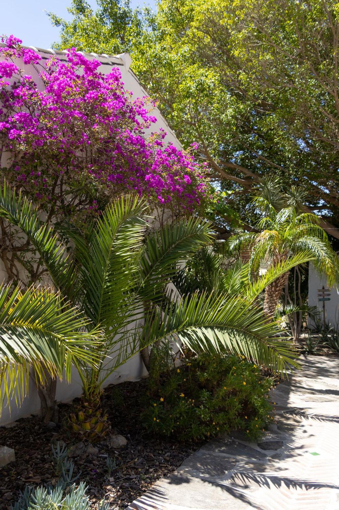 La Casa Del Burro Bed & Breakfast Nerja Exterior photo